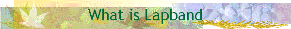 What is Lapband