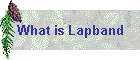 What is Lapband