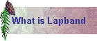 What is Lapband